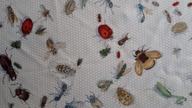 Carré hermès Les insectes par Hugo Grykar et La torre 1958 – Image 4