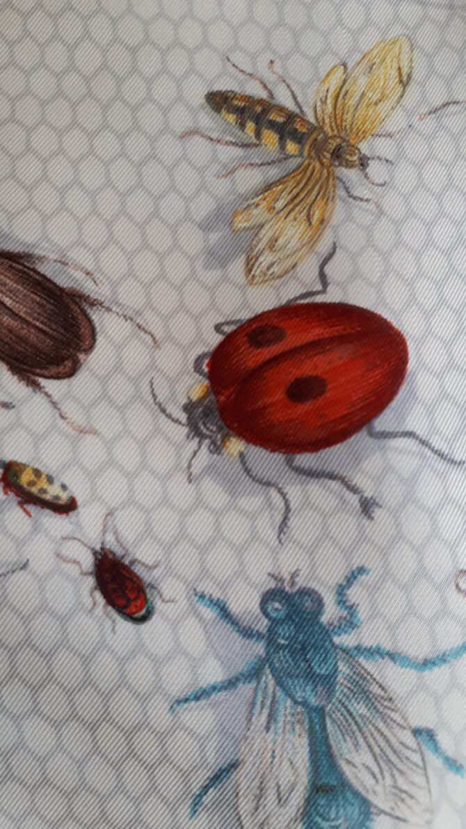 Carré hermès Les insectes par Hugo Grykar et La torre 1958