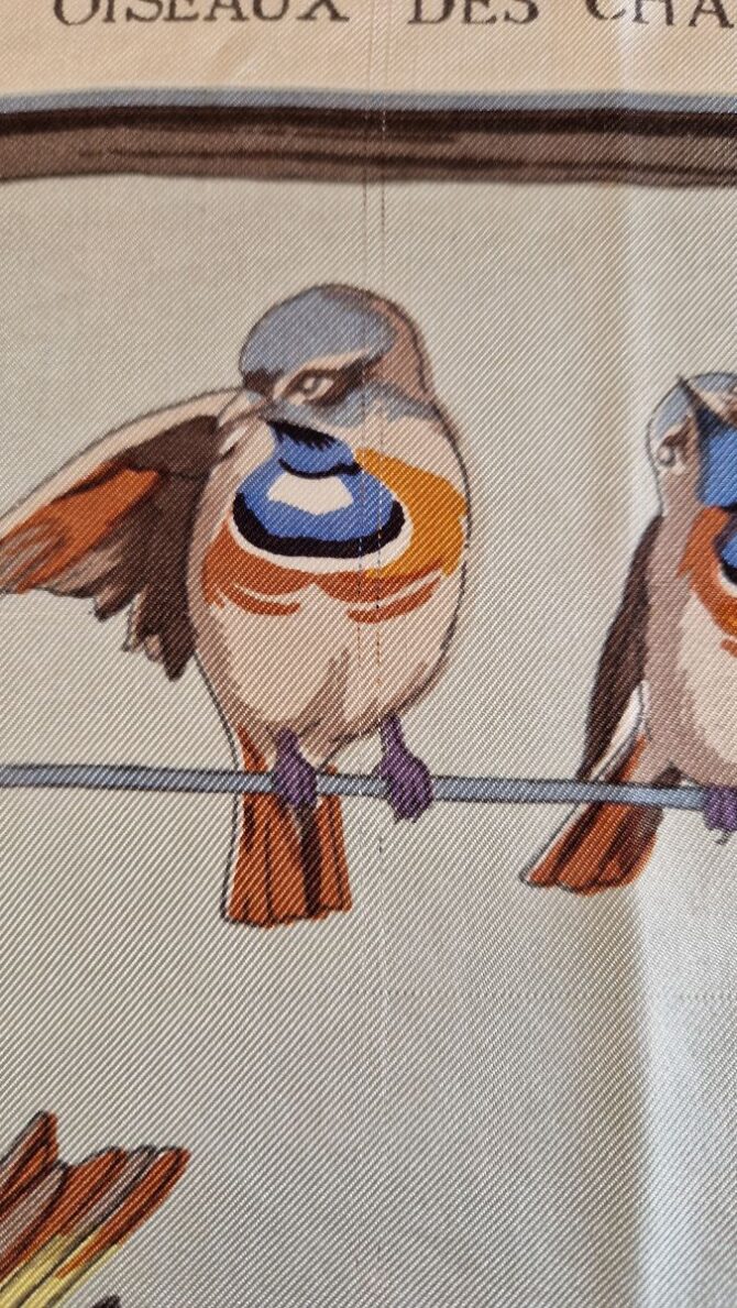 Rare carré Hermès 1953 Les oiseaux des bois et des champs par Hugo Grykar  Première Edition 1953 – Image 6