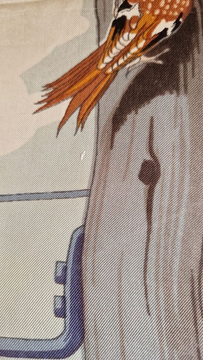 Rare carré Hermès 1953 Les oiseaux des bois et des champs par Hugo Grykar  Première Edition 1953 – Image 8