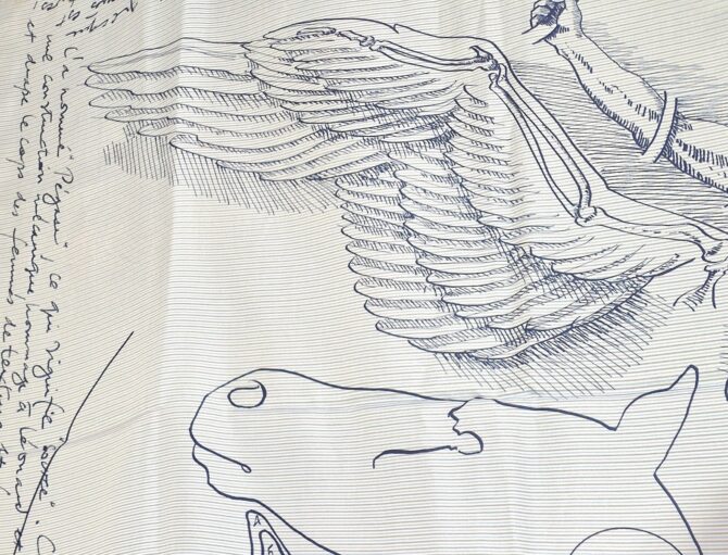 Châle Hermès en soie plume ou summertwill Le pégase – Image 4