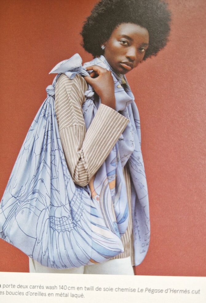 Châle Hermès en soie plume ou summertwill Le pégase – Image 8