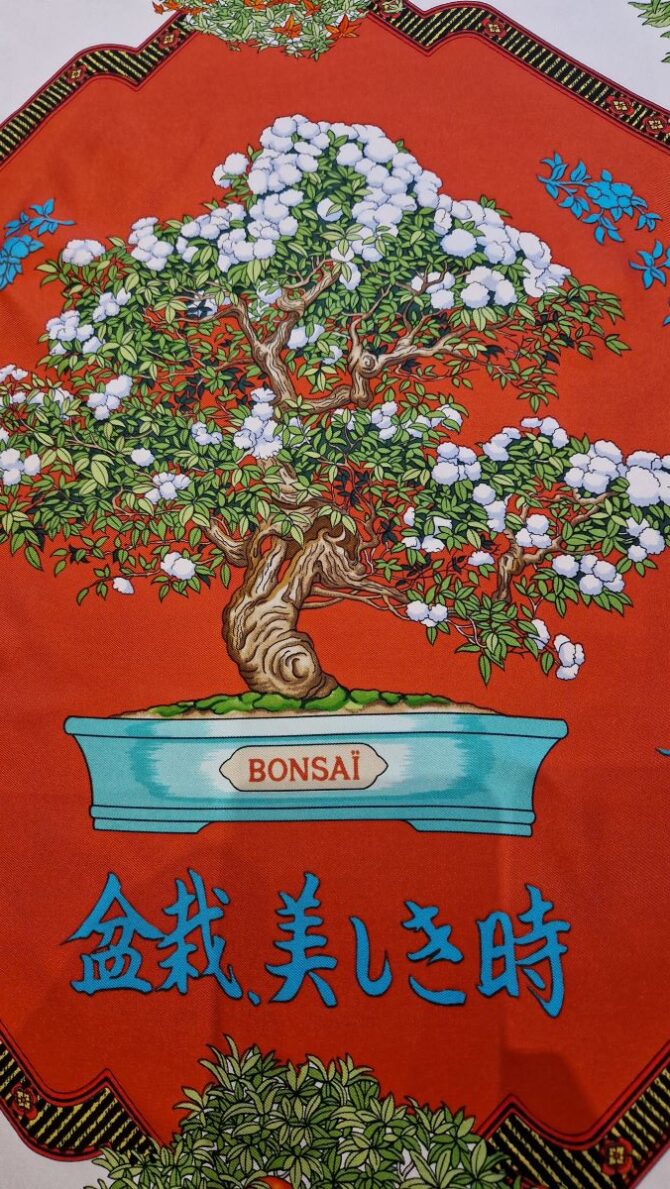 Carré Hermès Les beaux jours du  Bonsai par Catherine Baschet 1991 – Image 2