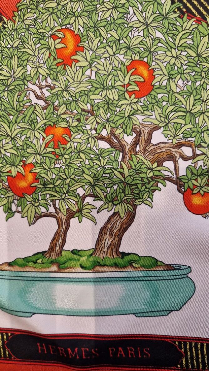 Carré Hermès Les beaux jours du  Bonsai par Catherine Baschet 1991 – Image 3