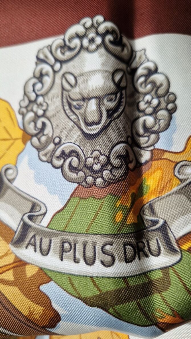 Carré Hermès Au  plus dru par Rybaltchenko , état neuf , livré dans sa boîte – Image 11