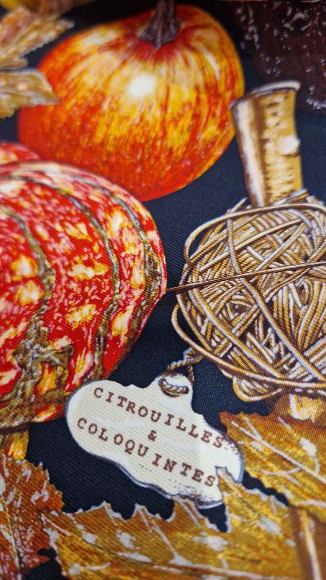 Pochette  Hermès Citrouilles et coloquintes  dessiné par Valérie Dawlat -Dumoulin 1998 livrée dans sa boîte – Image 4