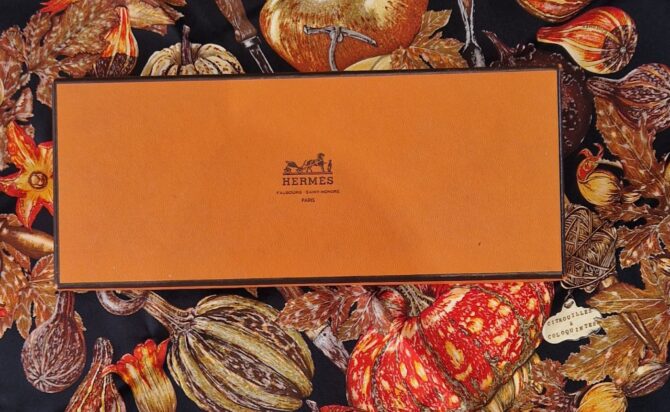 Pochette  Hermès Citrouilles et coloquintes  dessiné par Valérie Dawlat -Dumoulin 1998 livrée dans sa boîte – Image 2