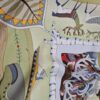 Carré hermès La vie au grand nord par Aline Honoré 2004