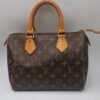 SPEEDY LOUIS VUITTON
