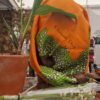 foulard dior muguet