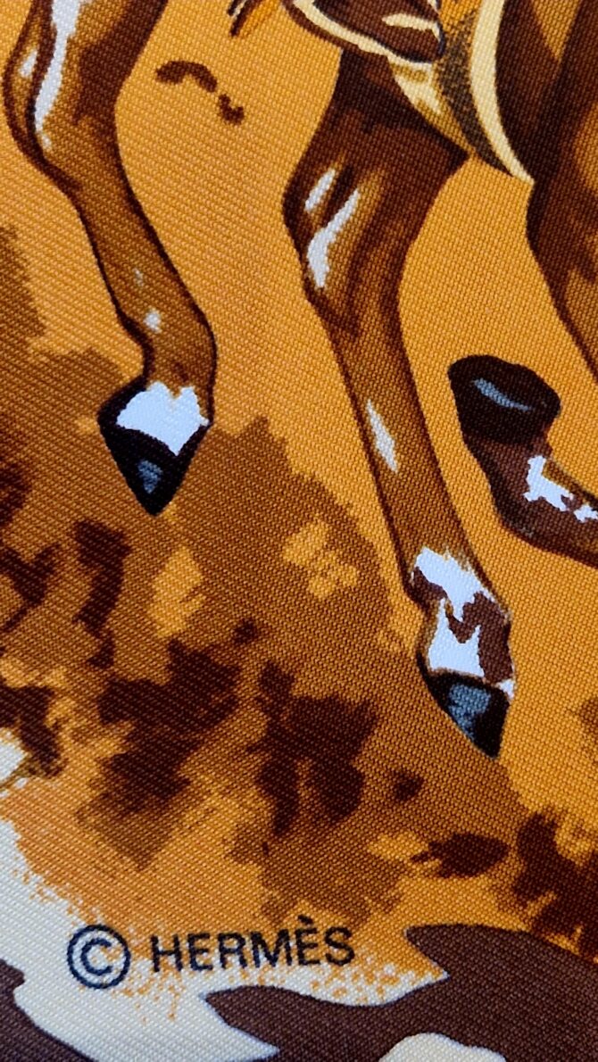 Carré Hermès Africa par Robert Dallet  1997 Livré dans sa boîte – Image 8