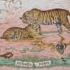 Carré Hermès La Trêve de l’Eau par Robert Dallet, édition 2005, soie rose et verte avec tigres et animaux de la savane.
