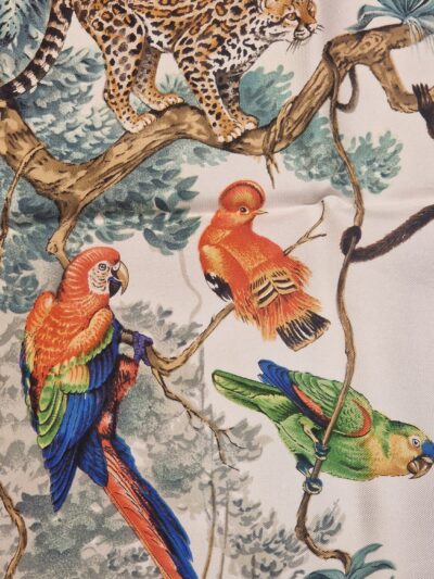 equateurrobertdallefaune tropicale